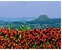 Blumenpracht mit Lilienstein im Hintergrund